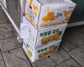 스파인2000 감자 후원