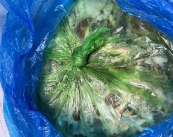 이정애님 불고기 후원