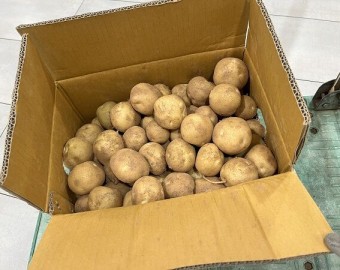 최*숙님 감자 후원