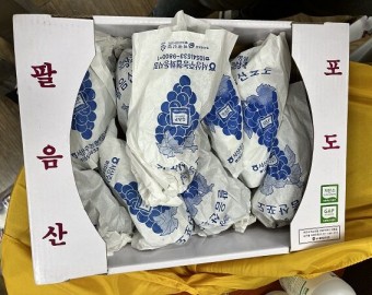 조*우님 포도 후원