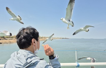 차량도 싣고 움직이는 선박으로 가까운 섬여행을 합니다